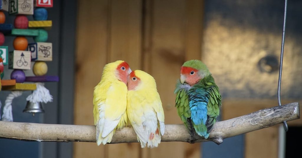 প্রাইমারী স্কুলের স্মৃতি